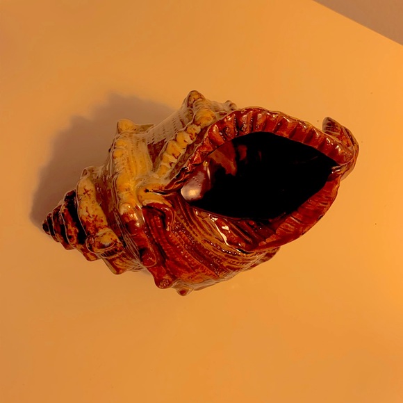 Tie & Tale Beach Theme Seashell Decor Size OS EUC - Picture 3 of 5